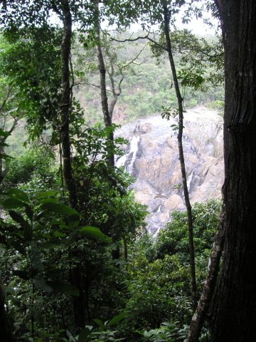 s_A_PICT0174.jpg